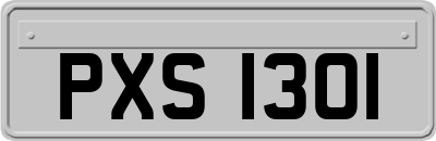 PXS1301