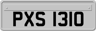 PXS1310