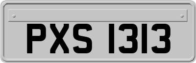 PXS1313