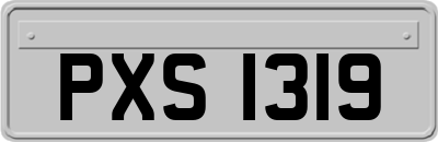 PXS1319