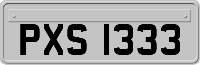 PXS1333