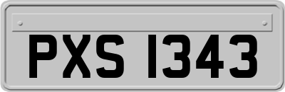 PXS1343