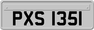 PXS1351