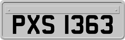 PXS1363