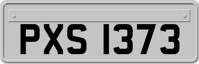 PXS1373