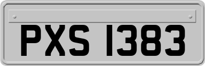 PXS1383