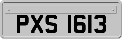 PXS1613