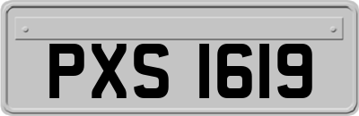 PXS1619