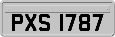 PXS1787