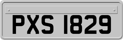 PXS1829