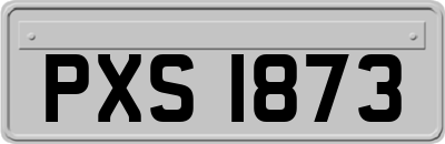 PXS1873