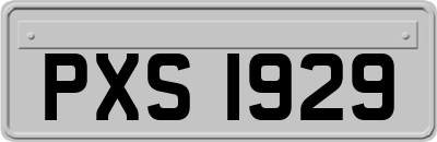 PXS1929