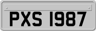 PXS1987