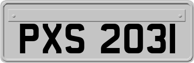 PXS2031