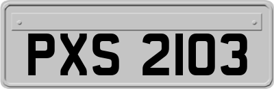 PXS2103