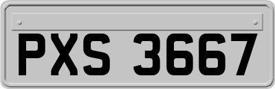 PXS3667