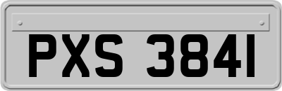 PXS3841