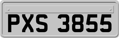 PXS3855