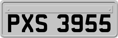 PXS3955