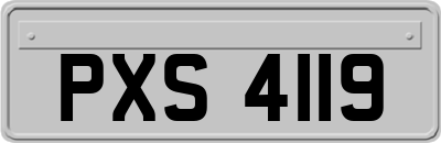 PXS4119