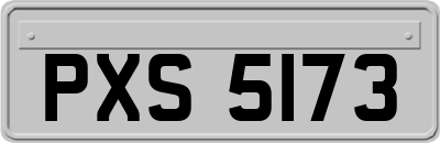 PXS5173