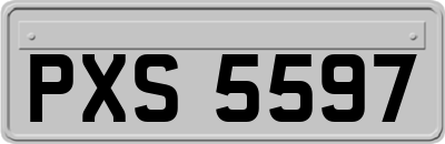 PXS5597