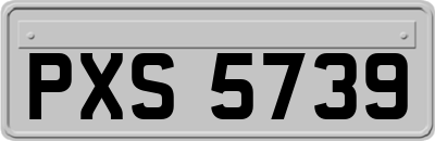 PXS5739