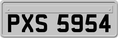 PXS5954