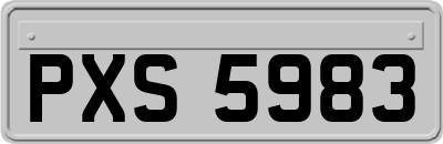 PXS5983