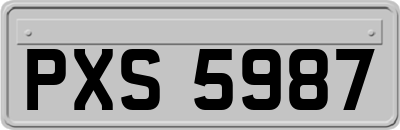 PXS5987