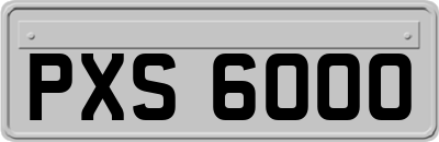 PXS6000