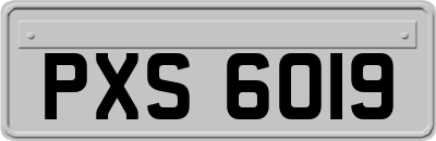 PXS6019