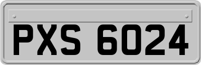 PXS6024