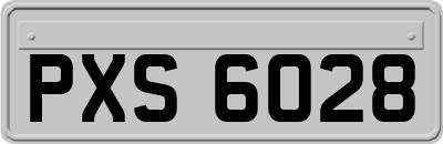 PXS6028