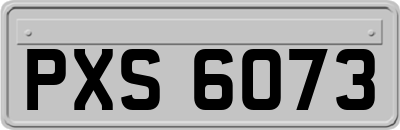 PXS6073