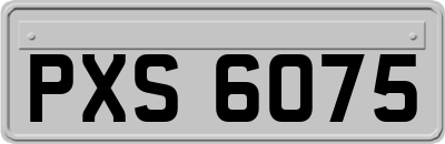 PXS6075