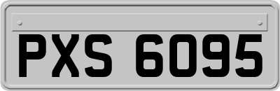 PXS6095