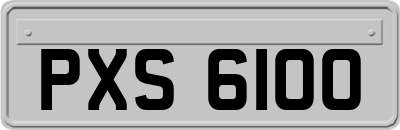 PXS6100