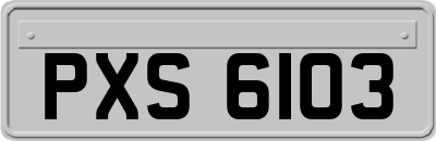 PXS6103