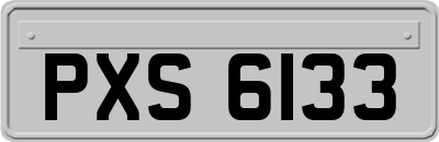 PXS6133