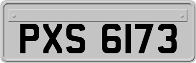 PXS6173