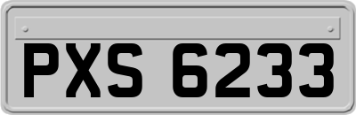 PXS6233