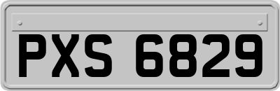 PXS6829