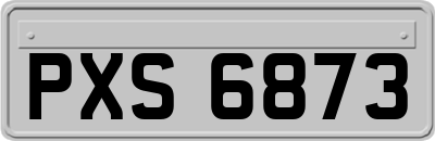 PXS6873