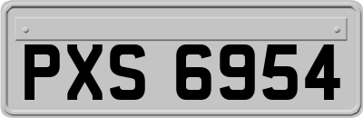 PXS6954