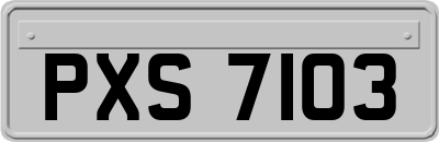 PXS7103