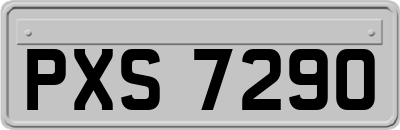 PXS7290