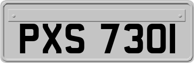 PXS7301