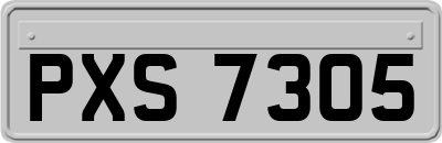 PXS7305