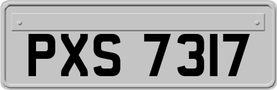 PXS7317